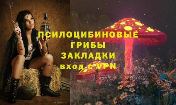 бошки Гусев