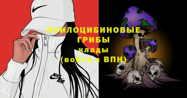 СК Вязники