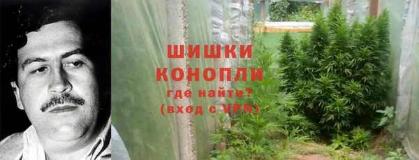 прущая мука Вяземский