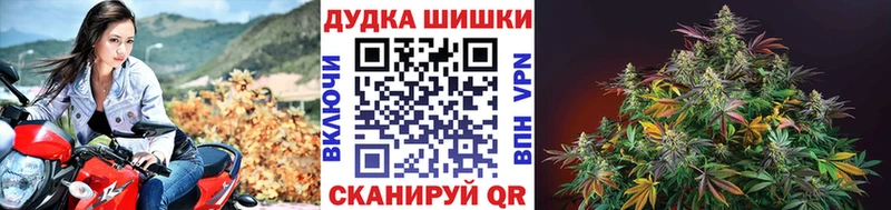 Конопля план Дмитров