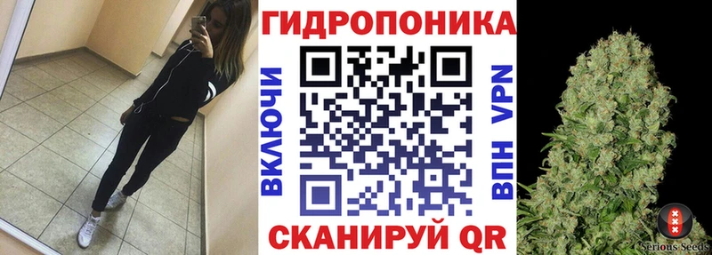 ОМГ ОМГ tor  Дмитров  Каннабис марихуана  продажа наркотиков 